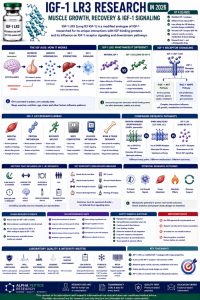 IGF-1 LR3 Research in 2026: Muscle Growth, Recovery & IGF-1 Signaling
